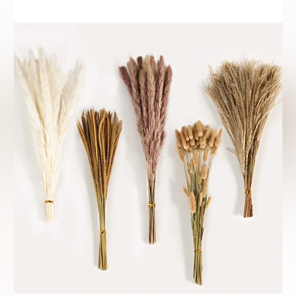 Pampas Grass - Picture 3 of 5